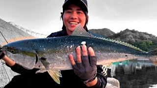 Câu cá ở Nhật Bản, bất ngờ dính cá cam#câucábiển #fishing #nhatban