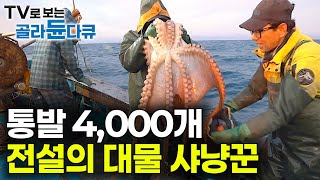 작은 놈은 우리가 먹는다! 작은 배 1척과 통발 4천 개 사서 거친 바다로 나왔다｜전설의 대물 사냥꾼｜동해 바다 만선 대문어 잡이｜바닷가 사람들｜#골라듄다큐