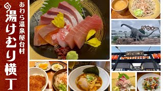 【芦原温泉屋台村】福井が楽しすぎた！美味しいもんいっぱい！サイコロきっぷで暴飲暴食はしご酒。FUKUI Ladder with a woman alone