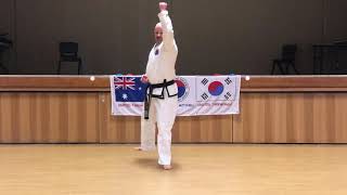 United Taekwondo Chief Instructor Brett performing Ko Dang - 2nd degree, 2nd pattern