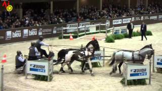 Koos DE RONDE - PREMIERE PLACE - Bordeaux , La finale 2013 - Winning Round