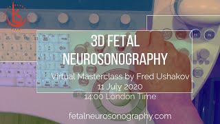 3D Fetal Neurosonography: Virtual Masterclass