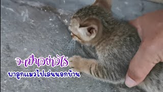 หาบ้าน​ใหม่ให้​ลูก​แมว​EP.21​ พาลูกแมวออกมาเล่นนอกบ้าน​จะเป็นอย่างไร🐱🐈