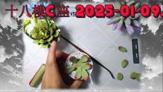 十八樓C座 2025-01-09.