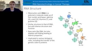 Daniel Jasinski - Large scale purification of RNA and RNA based Nanoparticles