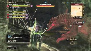 DDON ポーンと一緒に45ベヘモット ハンター