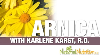 Arnica Montana Benefits in Muscle Aches \u0026 Pain - Supplement Review | National Nutrition Canada