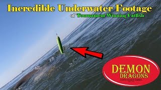 Most insane underwater Demon Dragon Footage ever with a Monster Catfish in Tow !!!