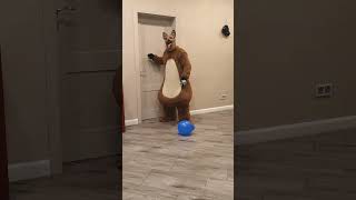 A big fat dog brings Tanya a blue balloon