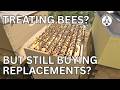 Treating Bees and Still Replacing Bees Every Year: Rethinking Sustainable Beekeeping