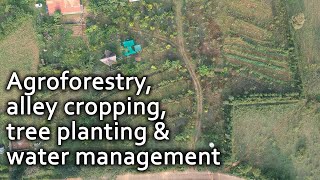 Permaculture Tools for Soil Repair | Agroforestry, alley cropping, tree planting \u0026 water management