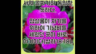 111. 성경입문 가이드: 창세기 14장 17절~18절 - 소돔 왕이  영접하였고, 왕의 골짜기,  살렘 왕 멜기세덱 의미