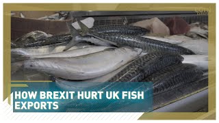 How Brexit hurt UK fish exports