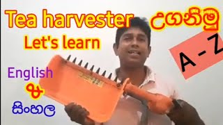 how to use Tea harvester machine | දළු නෙලන යන්ත්‍රය