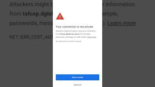 Your Connection Is Not Private Shorts