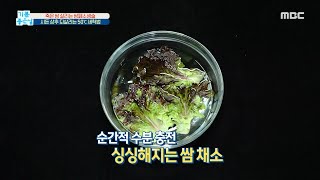 [기분 좋은 날] 시든 상추 되살리는 50℃ 세척법!, MBC 210408 방송