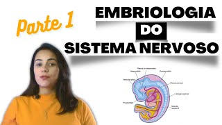 Embriologia do Sistema Nervoso - parte 1