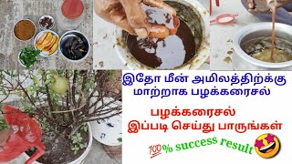 இதோ மீன் அமிலத்திற்க்கு மாற்றாக சத்து மிகுந்த பழக்கரைசல் .how to prepare fruit liquid fertilizer 🤩🤩👍