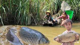 Meet giant fish hiding in puddles and bushes. Caught many giant fish. Fish catching skills