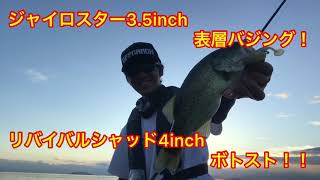 【バス釣り】初秋パターン！！  ジャイロスター3.5inch表層バジング＆ リバイバルシャッド4inchボトスト！！