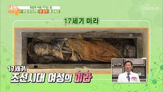 위암과 싸워 이기는 방법? ‘이것’부터 지켜라! [내 몸 사용설명서] 249회 20190426