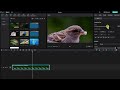 CapCut Crash Course A Beginner's Guide to Mastering the Free Desktop Video Editor