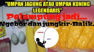 Testimoni Umpan jagung jitu LEGENDARIS IITerbukti Bukan umpan Kw-kw...