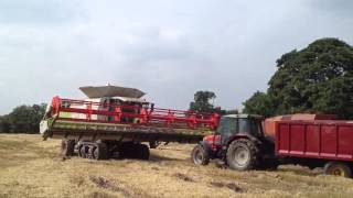 Lexion 600 tt pulling stuck tractor and trailer