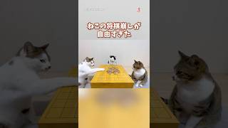 全員マイペースな将棋崩し #猫