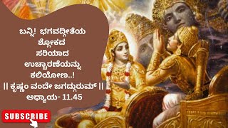 ಸರಳ ಭಾಷೆಯಲ್ಲಿ ಭಗವದ್ಗೀತೆಯಶ್ಲೋಕ| EXPLAINED IN KANNADA ಅಧ್ಯಾಯ- 11.45