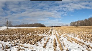 Let's Go Combine Some Corn on our Gleaner M3 - Dec 6, 2023