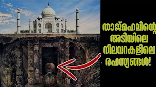 ഈ വാതിലുകൾ ചത്താലും തുറക്കരുത്! 3 Doors That Should Never Be Opened Malayalam | Storial