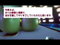 【2chヒトコワ】義父への積年の恨み、私が実行した無慈悲な復讐で義実家が全員離散した...【ホラー】結婚を反対した友人が案の定離婚していた ずっとお世話になっていた上司.. 怖い話 ヒトコワ 人怖