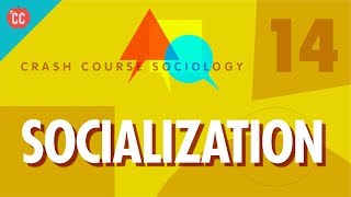 Socialization: Crash Course Sociology #14