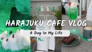 【原宿カフェ】SNSで話題のカフェへ早速行ってみた！ / 友達がやってるカフェ・ANAKUMA CAFE【デートスポット】