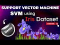 Example of ML Classification Technique on iris Dataset using Support Vector Machine SVM | AI with AI