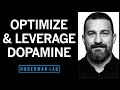 Leverage Dopamine to Overcome Procrastination & Optimize Effort | Huberman Lab Podcast