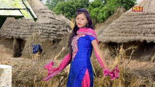 म्हारी ढाणी #Mahari Dhaani #New Haryanvi Song #Ajay Hooda #Anjali Raghav #TR #Annu Kadyan
