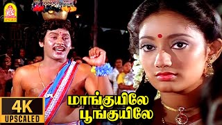 Maanguyilae  4K Video Song மாங்குயிலே பூங்குயிலே  Karakattakkaran | Ramarajan | Kanaka | Ilaiyaraaja