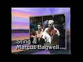 Sting & Marcus Bagwell vs Arn Anderson & Larry Zbyszko   Pro Feb 1st, 1992