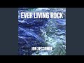 Ever Living Rock