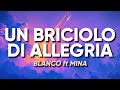 Blanco, Mina - Un Briciolo Di Allegria (testo/lyrics)