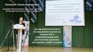 Семинар 2016.05.18 Доклад Лисицкой Ксении Валерьевны