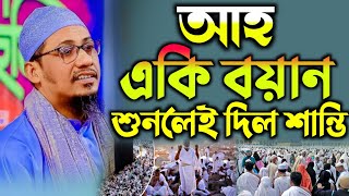 আহ এ কি বয়ান শুনলেই দিল শান্তি আনিসুর রহমান আশরাফী। anisur rahman asrafi new full waz 2024