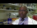 inspiring scientists donald palmer s story