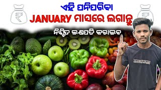 January ମାସରେ ଲଗାନ୍ତୁ ଏହି 10ଟି ପନିପରିବା | Vegetables in January | Dr Farming Tv