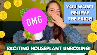 I scored a great deal! *CHAOTIC* houseplant unboxing