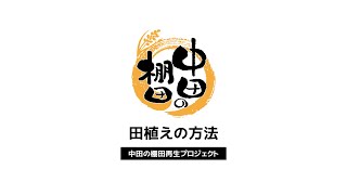 田植えの方法【紀美野町 中田の棚田再生プロジェクト】