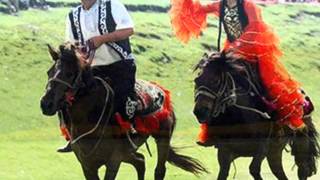 ZhuFengBo朱逢博-Oh,Lark雲雀啊雲雀(新疆維吾爾族民歌The Uyghur folk song)