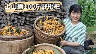 Early in the morning  I went up the mountain to pick old loquat from the village and harvested more